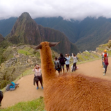 Sacred Rides - Image 8