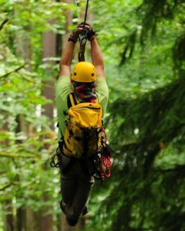 zipliner through trees