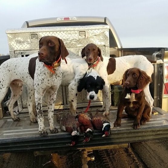 Sage Canyon Outfitters - Image 4