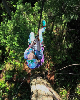 looking down on tree climber