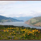 Martin's Gorge Tours - Image 8