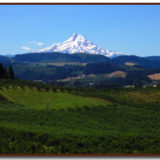 Martin's Gorge Tours - Image 9