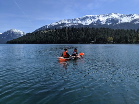 JO Paddle - Image 5