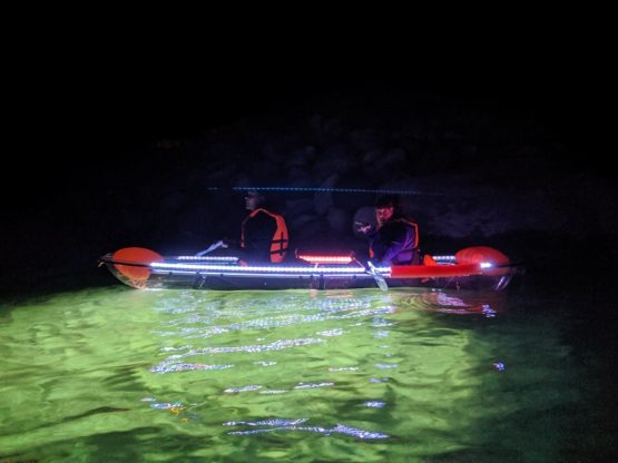 JO Paddle - Image 6