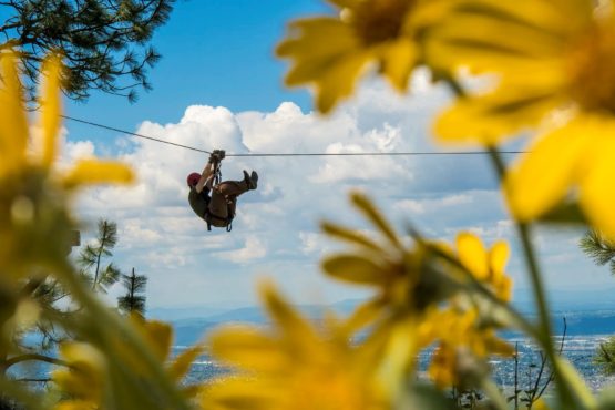 ziplining over flowers