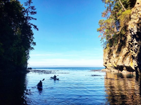 Salmon Bay Paddle - Image 6