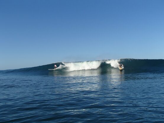 Richard Schmidt Surf School - Image 3